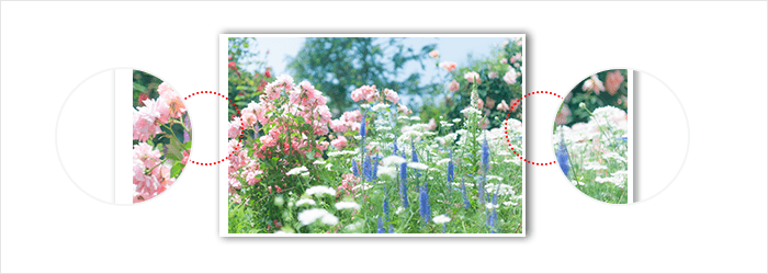 断裁ずれが目立ちやすいデザイン